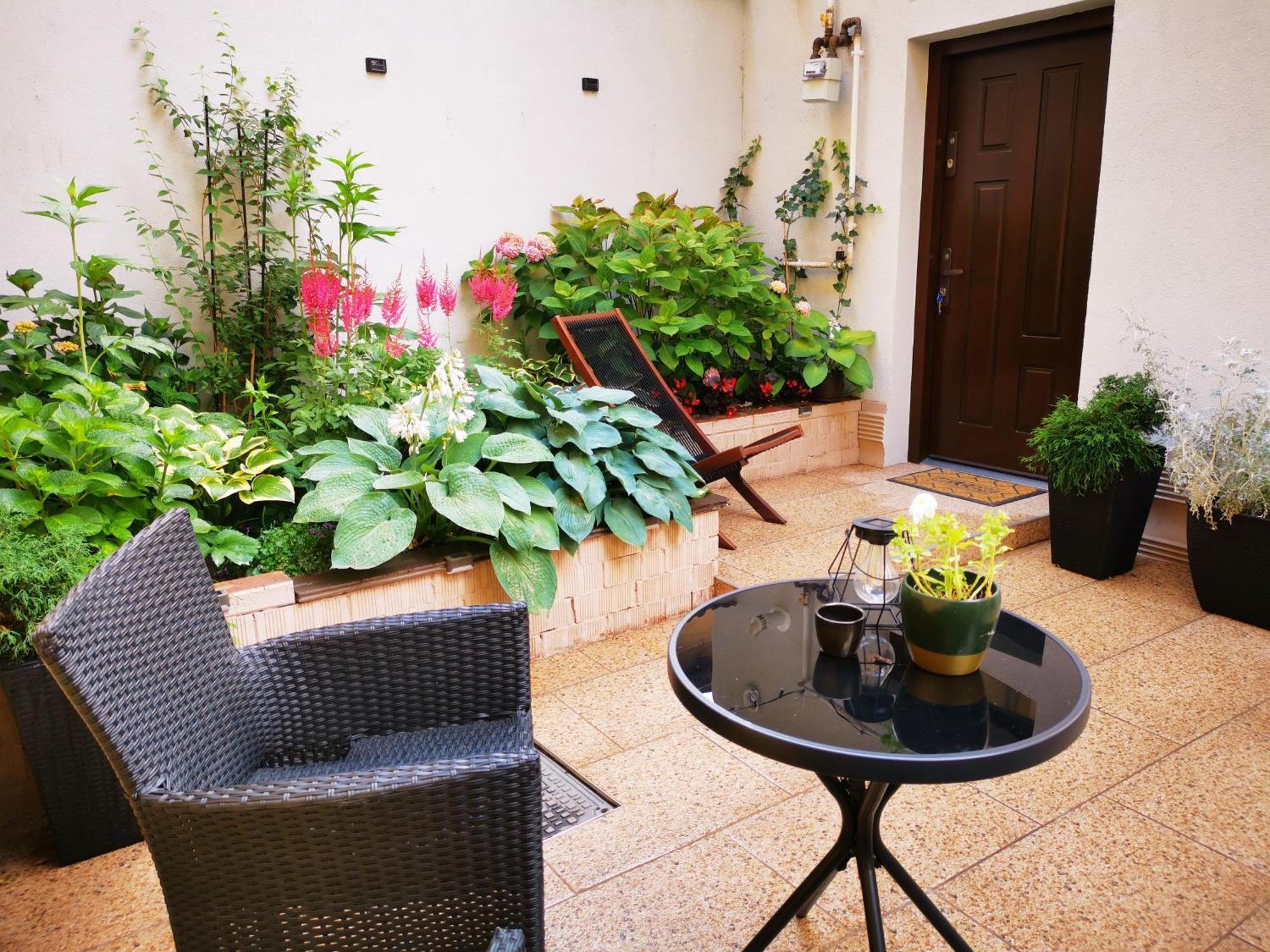 Cozy Green House بوخارست المظهر الخارجي الصورة